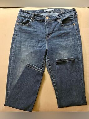 Liverpool Ankle Skinny Jeans